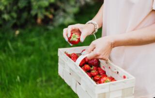 Panier de fraises - ©pexels.com