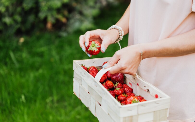 Thueyts Farmers' and craftsmen's market