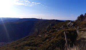 Guided hikes A mountain to live on