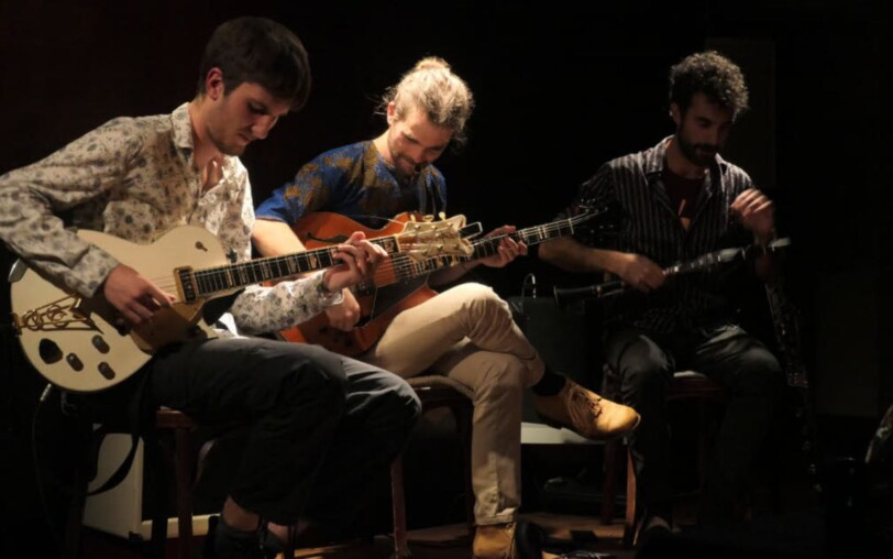 Concert Papagal trio