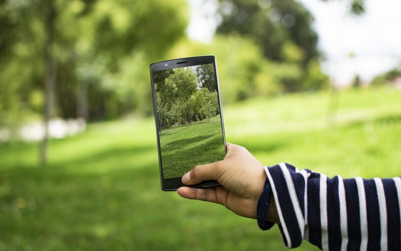 photo, portable, smartphone, nature