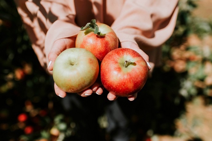 Pommes d'automne, fruits et légumes de saison en Ardèche - fête des fruits de saison à Prades en octobre