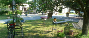 jardin