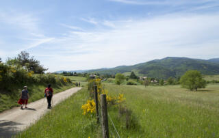 Vallée de la Cance
