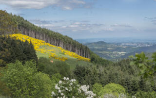 La Croix de Chirol