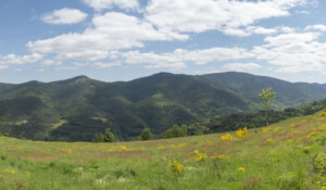 Vallée de la Cance