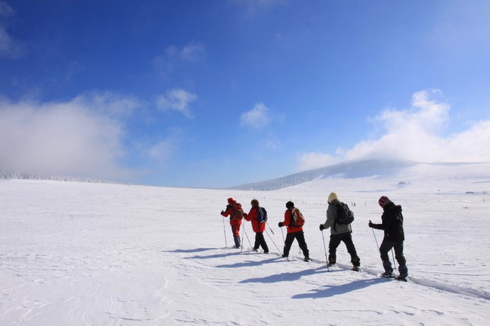 Rando raquettes/bivouac igloo dans les monts d'ardèche avec Massif central randonnées en hiver