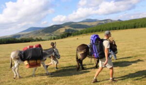 Camping and a night under the stars with a donkey_Burzet