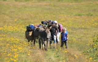 Randonnée avec un âne sur le GR®7 des monts d'Ardèche - ©O.Mathis