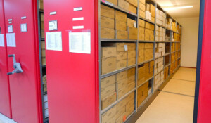 Les réserves du Musée de la Préhistoire
