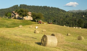 Saint-Cirgues-de-Prades - Fauchage à Gensac ©S.BUGNON