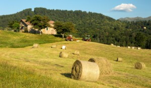 Saint-Cirgues-de-Prades - Fauchage à Gensac ©S.BUGNON