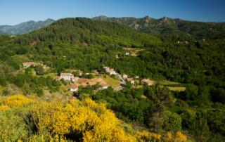 Saint-Cirgues-de-Prades - Vue générale copie ©S.BUGNON - ©S.BUGNON