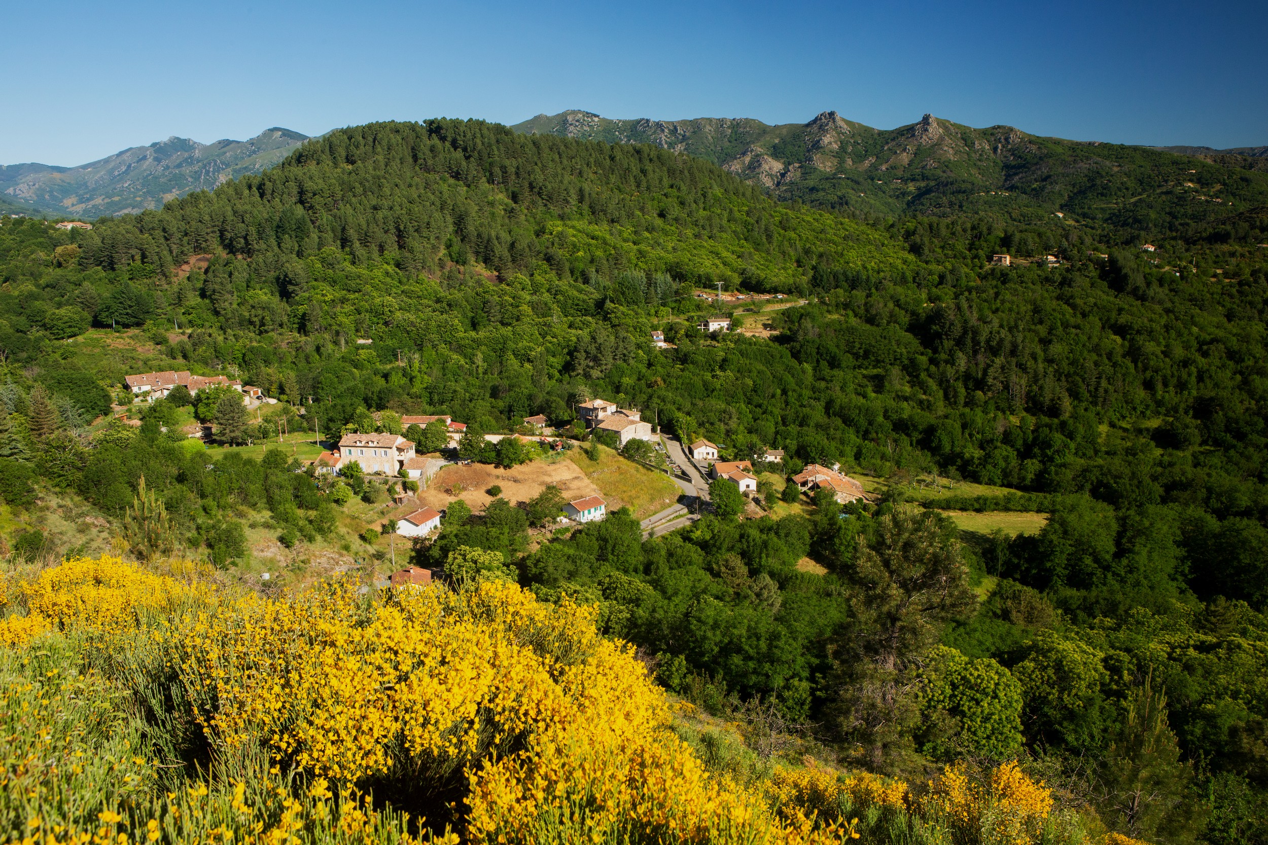 Saint-Cirgues-de-Prades - Vue générale copie ©S.BUGNON