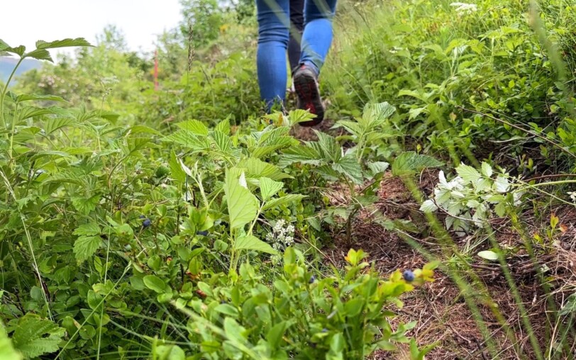 Simple pleasures farm_Saint-Pierre-de-Colombier