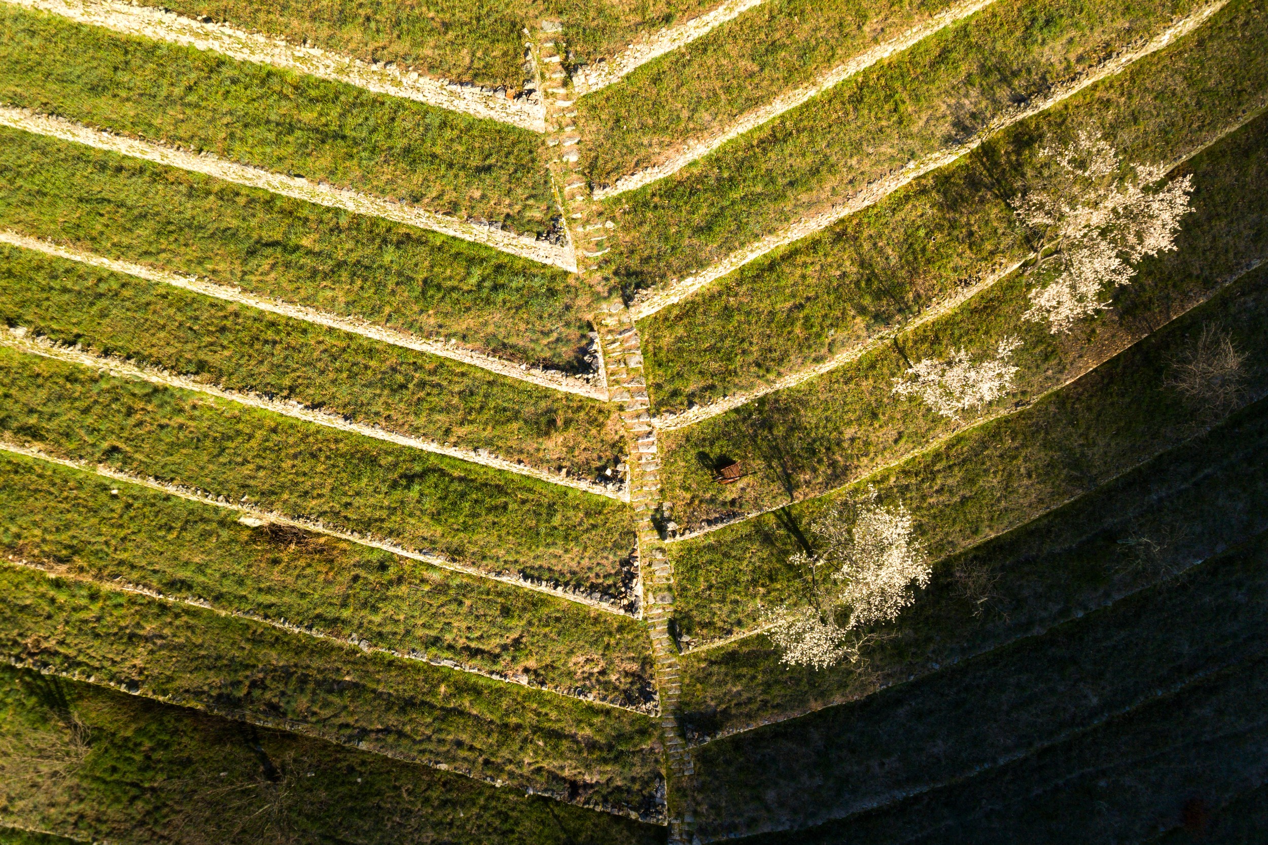 Saint-Pierre-de-Colombier - Terrasses d'Aulureyres ©S.BUGNON