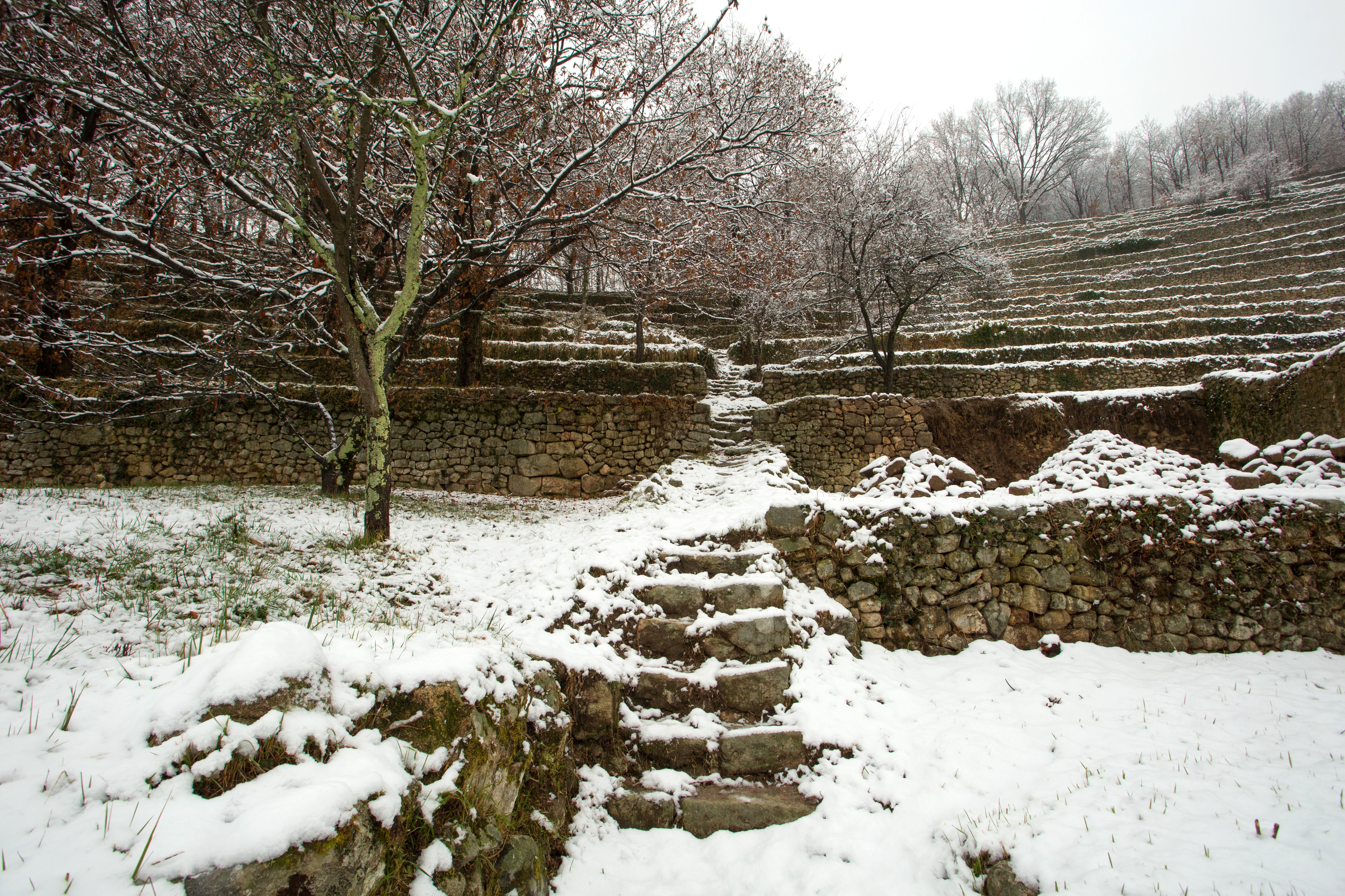 Village of St Pierre de Colombier