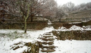 Saint-Pierre-de-Colombier - Terrasses sous la neige ©S.BUGNON