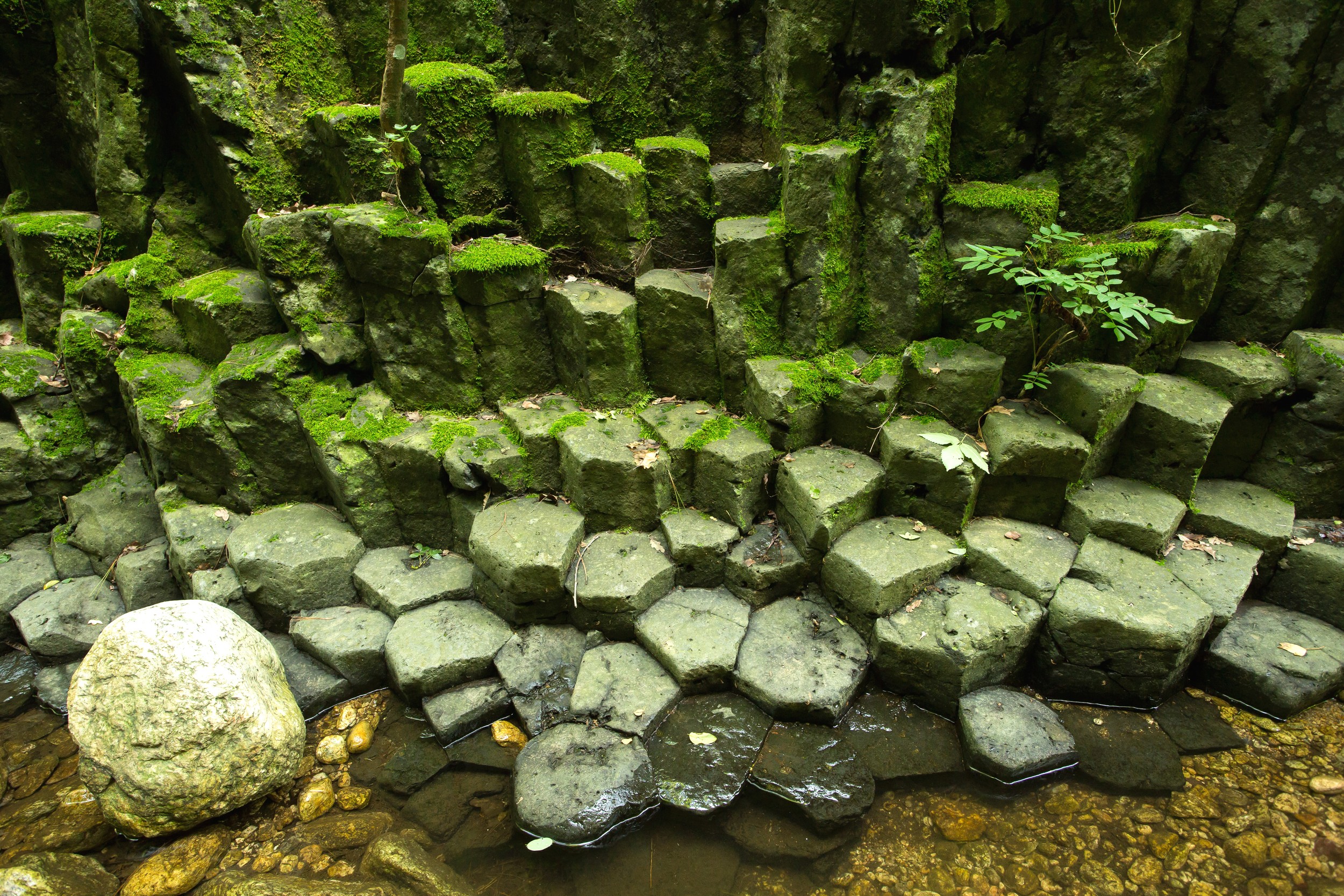 Jaujac - Orgues basaltiques dans le vallon du Rieuclar-2
