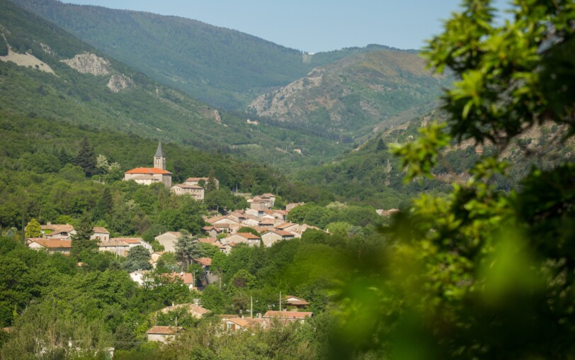 La Souche ©S.BUGNON