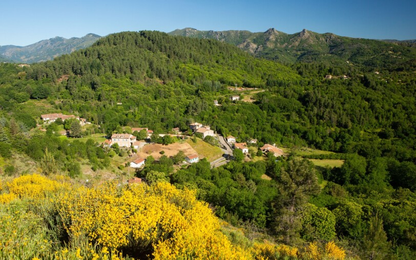 Saint-Cirgues-de-Prades - Vue générale 2 ©S.BUGNON