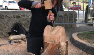 Sculpture sur bois Foire St Blaise Meyras