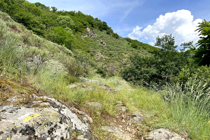 Sentier botanique et vue monts d'ardèche à barnas en ardèche - randonnées ardèche