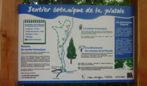 Sentier botanique de la Pinsole