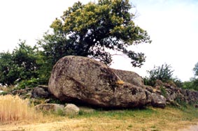 champis pierre branlante