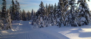 Skieur nordique 2