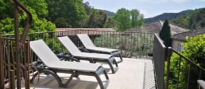 Iris (gîtes de Neyrac-les-Bains)_Meyras