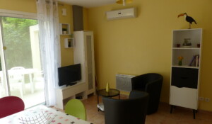 Salon et TV dans le gite Villa Soleil 1 à Meyras