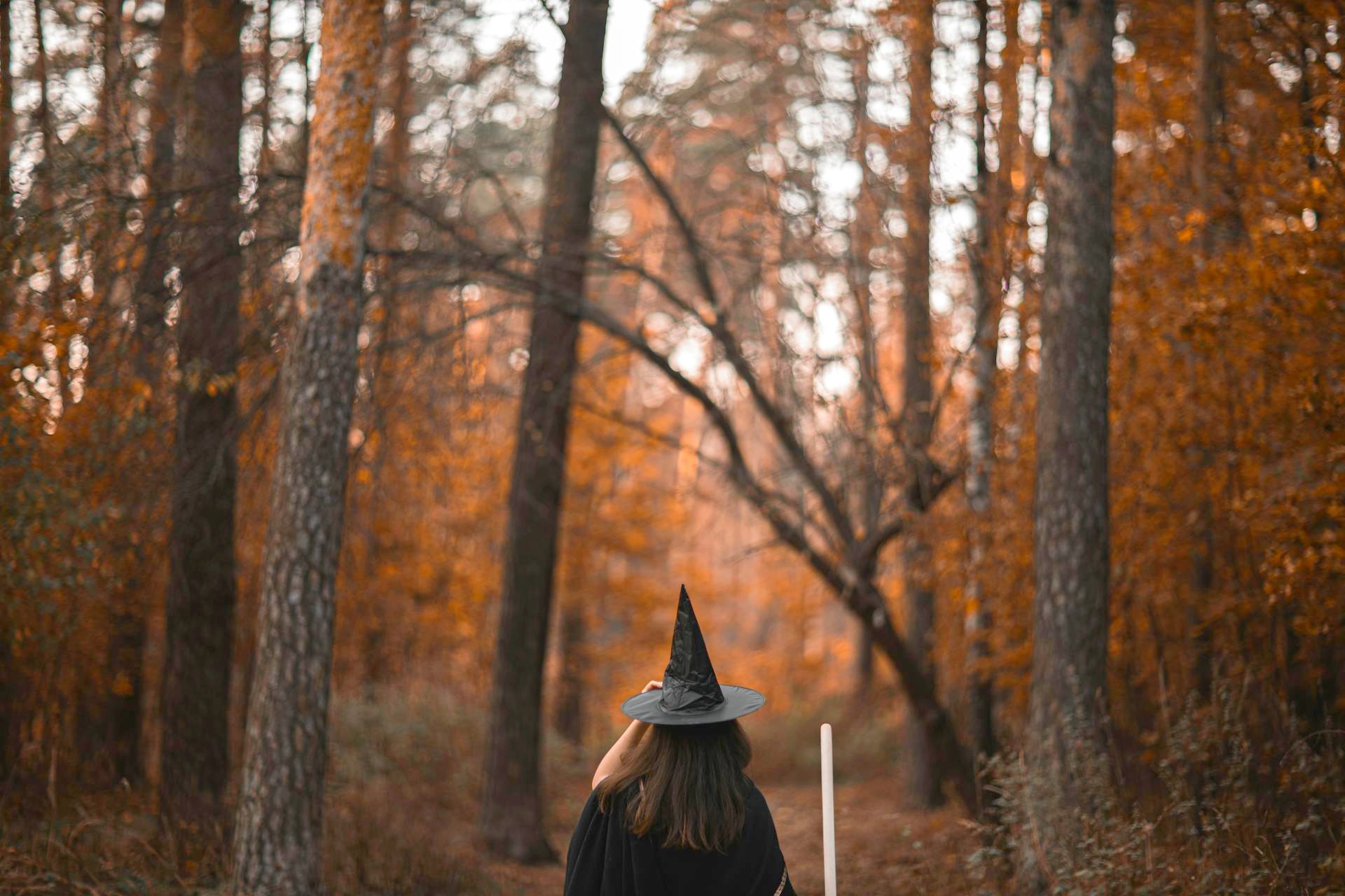 sorciere-montagne-automnepexels-gabby-k