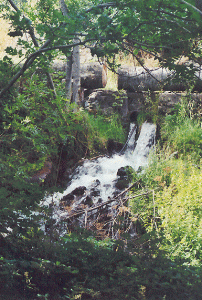 Les sources de Molines