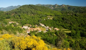 St Cirgues de Prades - vue générale sur le village ©S.BUGNON