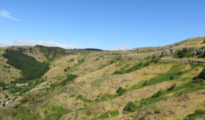 Les coulées basaltiques