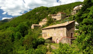 Village of St Pierre de Colombier