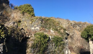 Coulées basaltiques