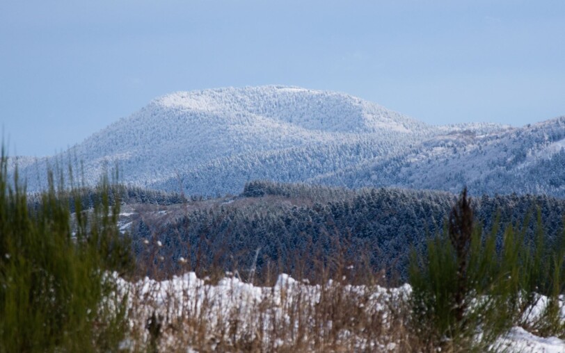 Le suc de Bauzon (volcano summit)