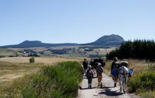 Suc et mont d'Ardèche avec un âne - © Olivier Mathis