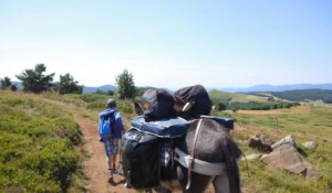 Camping and a night under the stars with a donkey_Burzet