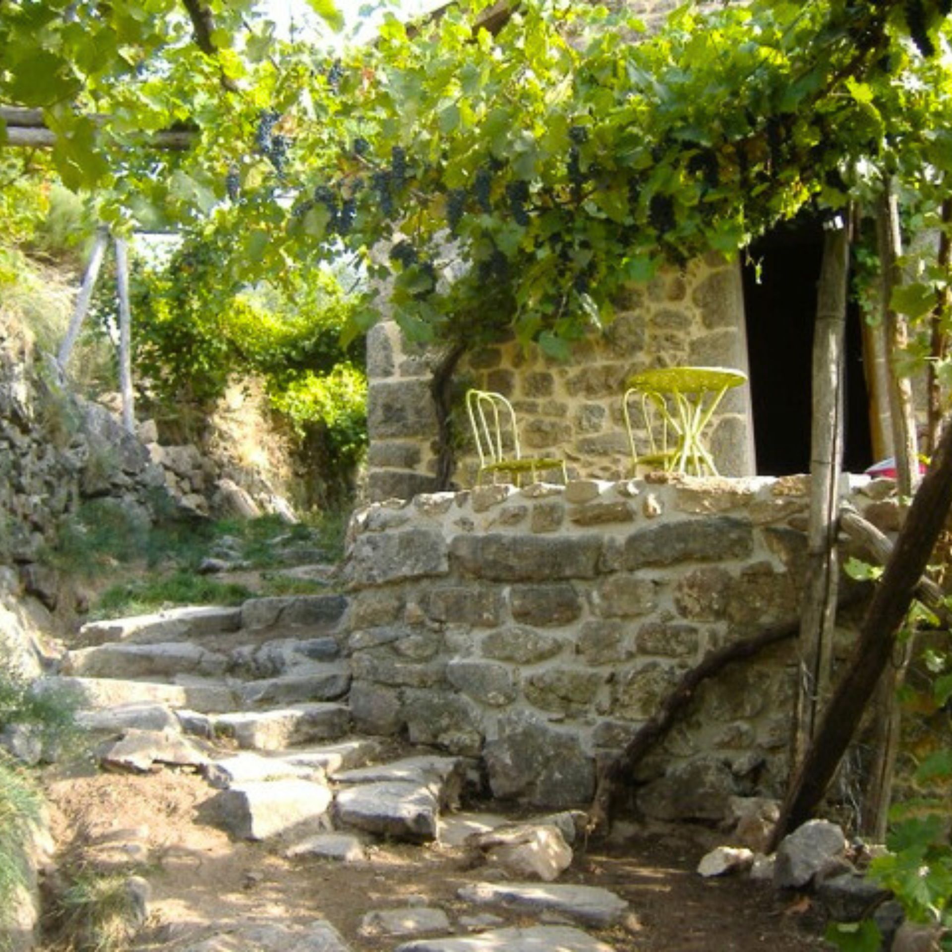 Vinum Follis room - Quinte et sens guestroom_Barnas