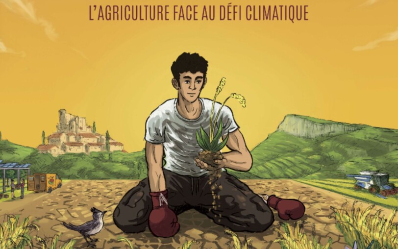 Cinema: The Boxer Theory_Thueyts