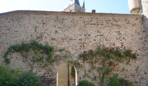 Thueyts - Château de Blou et ses roses 2 ©sourcesetvolcans