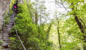 Thueyts - Echelle du roi à la montée