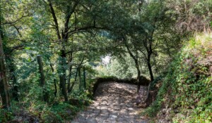 Thueyts - Escaliers vers le pont du diable - échelle de la reine ©sourcesetvolcans