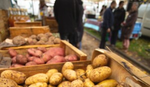 Thueyts - Fête de la patate - paysage ©S.BUGNON