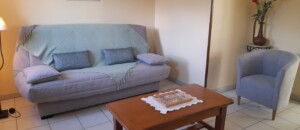 Thueyts - gite les chataigniers - salon canapé - mas dardet ©n.roche