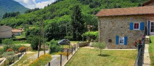 Mulberry trees - Mas de Dardet