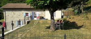 Mulberry trees - Mas de Dardet